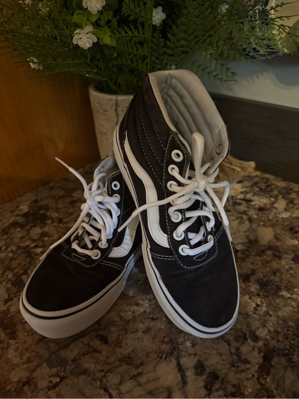 Vans Black & White High-Top Skate Shoes